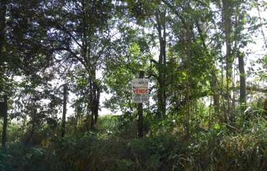 Imagem 2: CHÁCARA A VENDA NO RECANTO CAMPESTRE VIRACOPOS - INDAIATUBA/SP