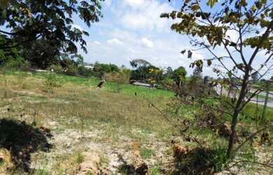 Imagem 2: Ótimo terreno para construção de galpão, motel, hotel, tem saídas pelos dois sentidos