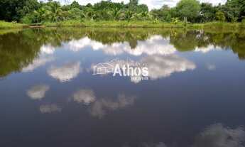 Imagem 2: SITIO A VENDA EM ELIAS FAUSTO SP