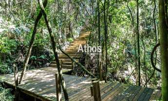 Imagem 6: TERRENO COM 450m² - PRÓXIMO AO CLUBE E DO CENTRO COMERCIAL. EXCELENTE LOCALIZAÇÃO. COM TOD