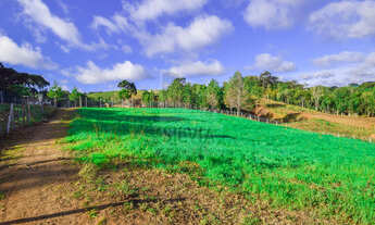Imagem 6: Chácara no bairro Capela Velha em Araucária - Sossego e ar fresco à 15 min de Curitiba