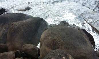 Imagem 7: CASA COSTEIRA RESIDENCIAL À VENDA, CAMBARAU, ILHABELA