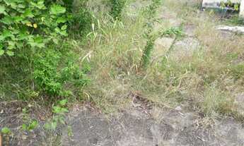 Imagem 5: 1200M² de Área Total na Rua Deputado João Rodrigues De Oliveira