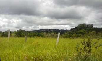 Imagem 2: ÁREA em Cotia - SP, Jardim São Miguel