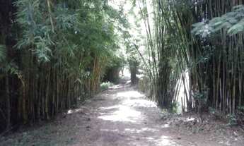 Imagem 3: ÁREA em Cotia - SP, Jardim São Miguel