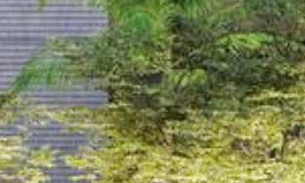 Imagem 2: APARTAMENTO RESIDENCIAL em São Paulo - SP, Barra Funda