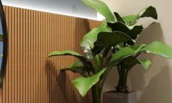 Imagem 4: APARTAMENTO RESIDENCIAL em São Paulo - SP, Jabaquara