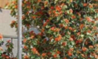 Imagem 2: STUDIO RESIDENCIAL em São Paulo - SP, Centro