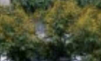 Imagem 2: APARTAMENTO RESIDENCIAL em São Paulo - SP, Cidade Patriarca