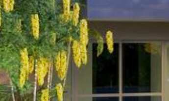 Imagem 3: APARTAMENTO RESIDENCIAL em São Paulo - SP, Jaguaré