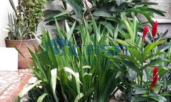 Imagem 2: CASA RESIDENCIAL em RIO DE JANEIRO - RJ, JARDIM GUANABARA