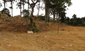Imagem 6: TERRENO RESIDENCIAL em Cotia - SP, Jd Sandra