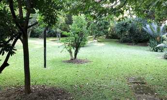 Imagem 6: TERRENO RESIDENCIAL em COTIA - SP, CHÁCARA ELIANA