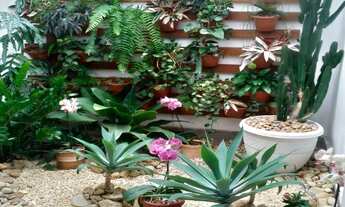 Imagem 4: Linda casa térrea, sofisticada moderna com acessibilidade, em área de terreno de 700m² e á