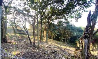 Imagem 6: Excelente Lote residencial com 2334m² com 35m de frente, laterais de 68 e 65 metros e 35