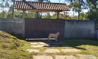 Imagem 5: Lindo terreno para investimento!