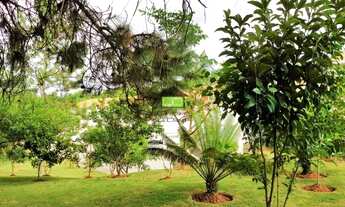 Imagem 7: Casa em villagio bem localizado com entorno muito arborizado em condomínio fechado