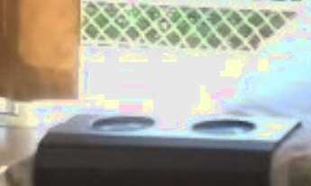 Imagem: Apartamentos de luxo em condomínio - Jardim