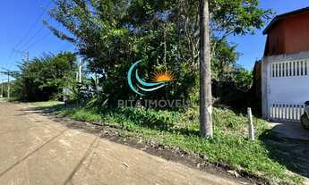 Imagem 2: Lote de terreno plano com vegetação nativa, medindo 12,5 * 40 total 500 m2 no Jardim São L