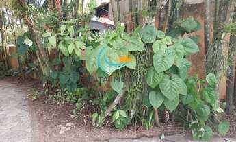 Imagem 6: Disponível a partir de 5/1/26 - Casa de luxo em condomínio para locação no Centro de Berti