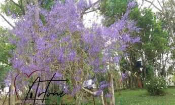 Imagem 3: TERRENO RESIDENCIAL em JARINU - SP, JARINU