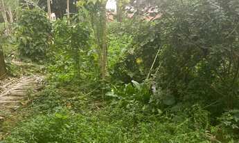 Imagem 4: TERRENO EM CONDOMÍNIO FECHADO DE BERTIOGA