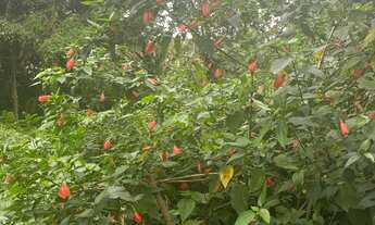 Imagem 1: TERRENO EM CONDOMÍNIO FECHADO DE BERTIOGA