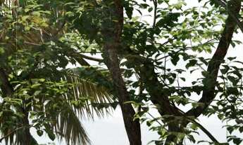 Imagem 3: FLATS COM ESTILO CONTEMPORÂNEO NO BAIRRO DE MANAÍRA PRÓXIMO AO SHOPPING COM UNIDADES A PAR