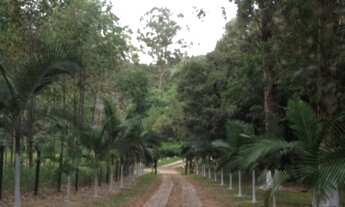Imagem 3: Sítio à venda em Itu/SP
