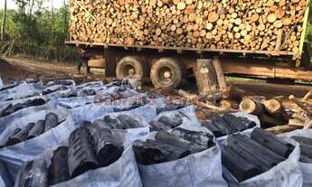 Imagem 3: Sítio p/ investimento à venda no bairro do Alegre, em Pilar do Sul/SP