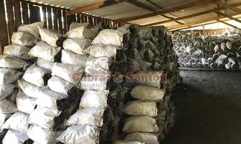 Imagem 7: Sítio p/ investimento à venda no bairro do Alegre, em Pilar do Sul/SP