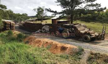 Imagem: Sítio p/ investimento à venda no bairro