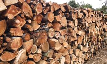 Imagem 4: Sítio p/ investimento à venda no bairro do Alegre, em Pilar do Sul/SP