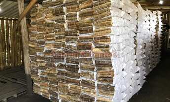 Imagem 5: Sítio p/ investimento à venda no bairro do Alegre, em Pilar do Sul/SP