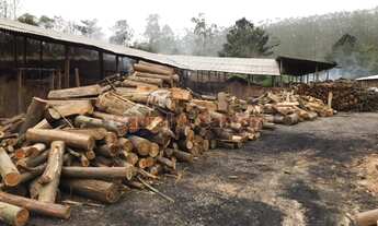 Imagem 2: Sítio p/ investimento à venda no bairro do Alegre, em Pilar do Sul/SP