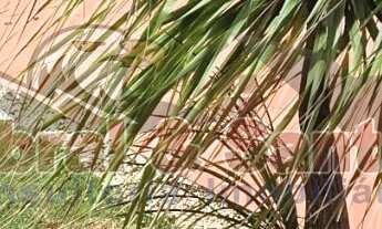 Imagem 2: Casa térrea à venda no Condomínio Portal da Vila Rica em Itu/SP