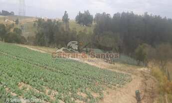 Imagem 4: Área Rural à venda - bairro Barreiro Rico - PORTO FELIZ/SP