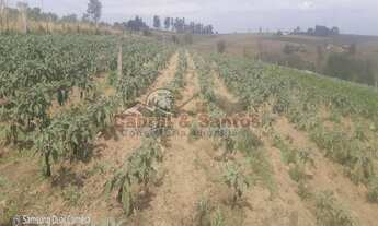 Imagem 5: Área Rural à venda - bairro Barreiro Rico - PORTO FELIZ/SP