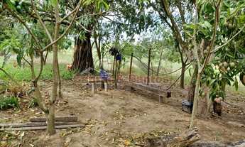 Imagem 6: Área Rural à venda - bairro Barreiro Rico - PORTO FELIZ/SP