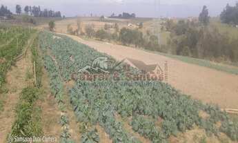 Imagem 3: Área Rural à venda - bairro Barreiro Rico - PORTO FELIZ/SP
