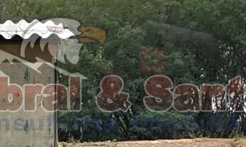 Imagem 1: Terreno/lote à venda, condominio Fazenda Palmeiras Imperiais, SALTO/SP