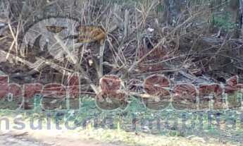 Imagem 4: Terreno/Lote à venda no condomínio City Castello em Itu/SP