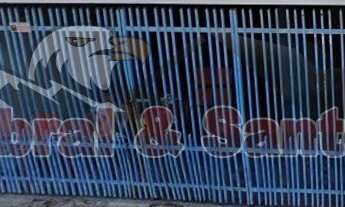 Imagem: Casa à venda no Jardim das Azaléias em