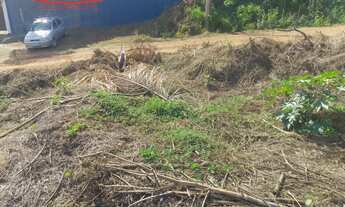 Imagem 2: Terreno no Floresta disponível para Venda!