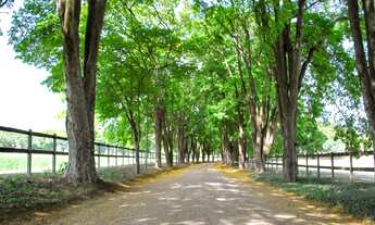 Imagem 7: Lote no Condomínio Santa Izabel disponível para Venda!