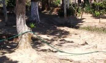 Imagem: Chácara em Pedreira disponível para Venda!