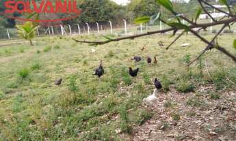 Imagem: Sítio - Guedes de Cima, Jaguariúna - SP