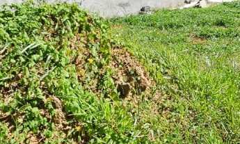 Imagem: Terreno à venda de 250,00 m² em Jaguariúna-SP