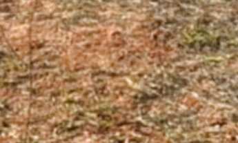 Imagem: Terreno Disponível para Venda no bairro