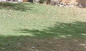 Imagem: Terreno á venda disponível no Bairro Jd